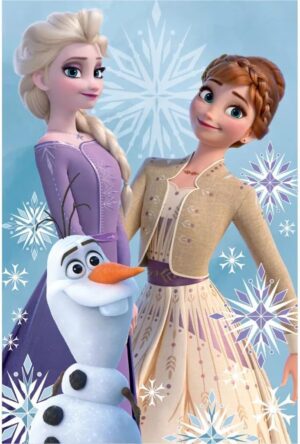 Couverture polaire Disney La Reine des Neiges Elsa Anna Olaf 100 x 150 cm