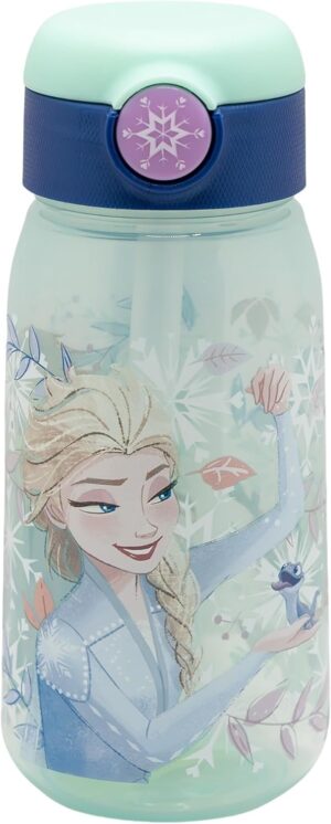 Gourde Frozen Snowy Tale Active 510 ml