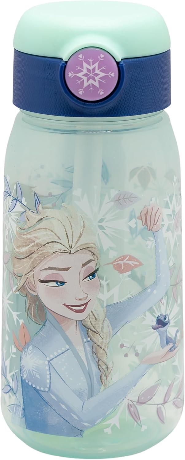 Gourde Frozen Snowy Tale Active 510 ml