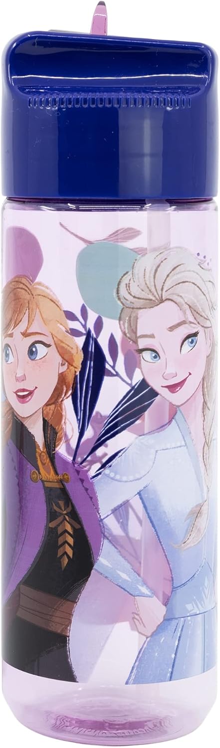 Gourde Disney Frozen 540 ml avec bec rabattable