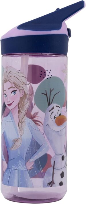 Gourde Ecozen Premium 620 ml La Reine des Neiges Frozen Trust the Journey