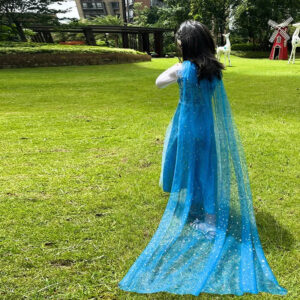Voile Reine des Neiges bleu ou rose